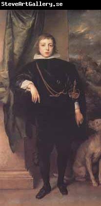 Anthony Van Dyck Portrait of prince rupert standing (mk03)